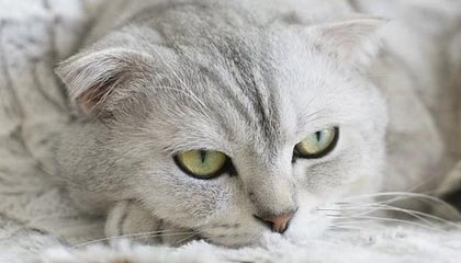 玉环高价医保报销代办中介的最新政策(2025年玉环医疗报销代办分享)