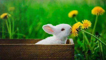 玉环高价找中介10分钟提取医保武汉的最新政策(2025年玉环武汉中介提取公积金分享)